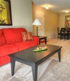 Spacious Floor Plans